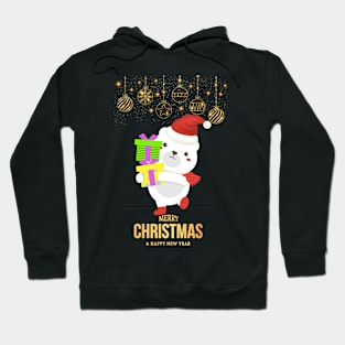 Merry Christmas and happy New Year Hoodie